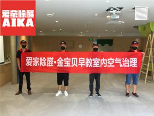 世界的金宝贝，中国的爱家除醛！